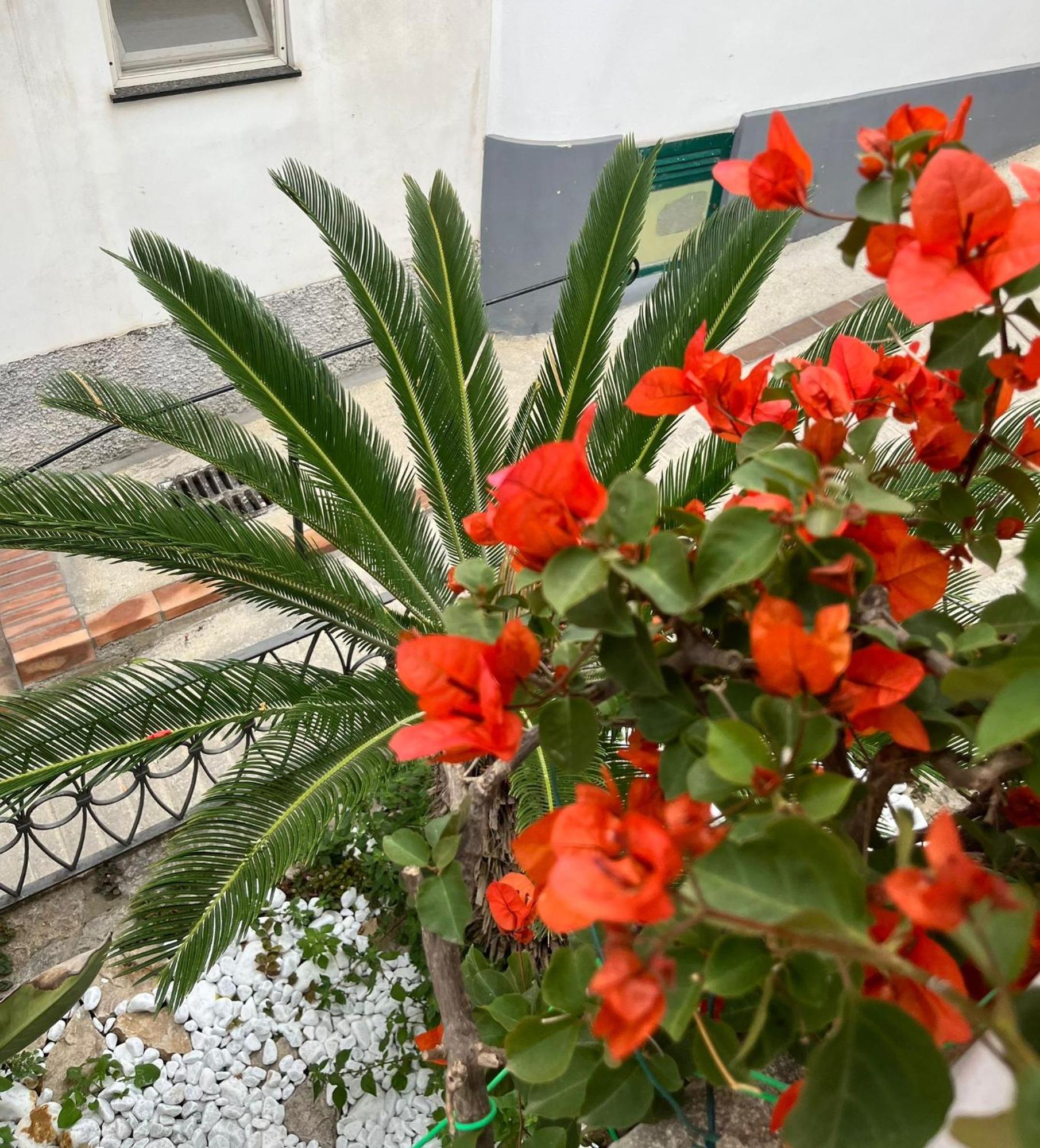 Alle Stelle B&B Анакапри Екстериор снимка